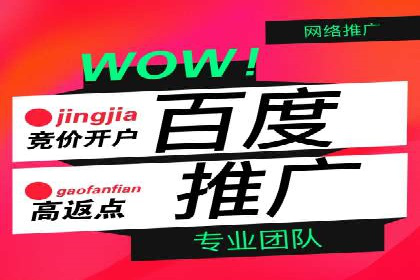 SEM服务在本地化营销中的应用案例